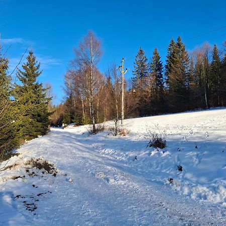 Apartman U Mamuta Dolní Morava Exteriér fotografie